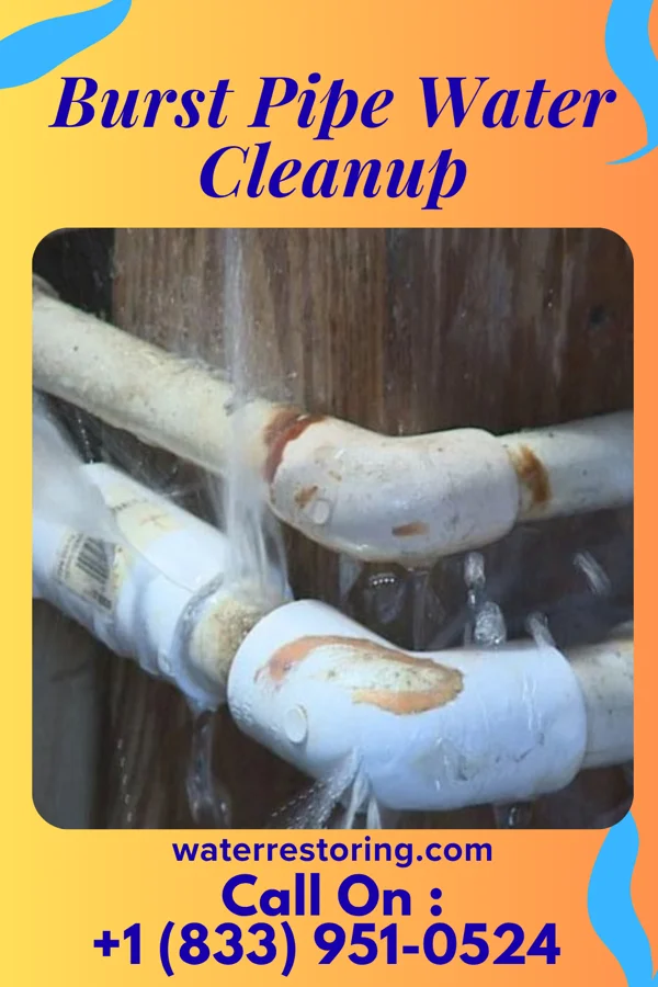 Burst Pipe Water Cleanup in Nebo, IL